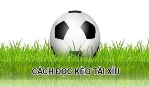 Bí Quyết Soi Kèo Tài Xỉu Hiệp 1 Hiệu Quả Nhất
