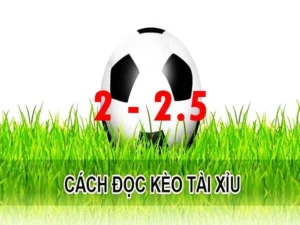Hướng Dẫn Chi Tiết Cách Đọc Và Tính Thắng Thua Cho Kèo 2.25 Hiệu Quả