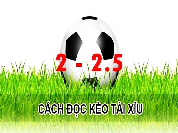 Hướng Dẫn Chi Tiết Cách Đọc Và Tính Thắng Thua Cho Kèo 2.25 Hiệu Quả