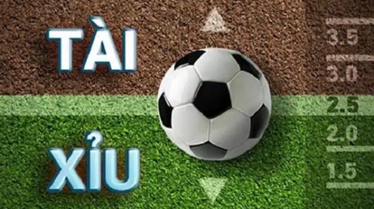 Hướng Dẫn Chi Tiết Cách Đọc Và Tính Thắng Thua Cho Kèo 2.25 Hiệu Quả