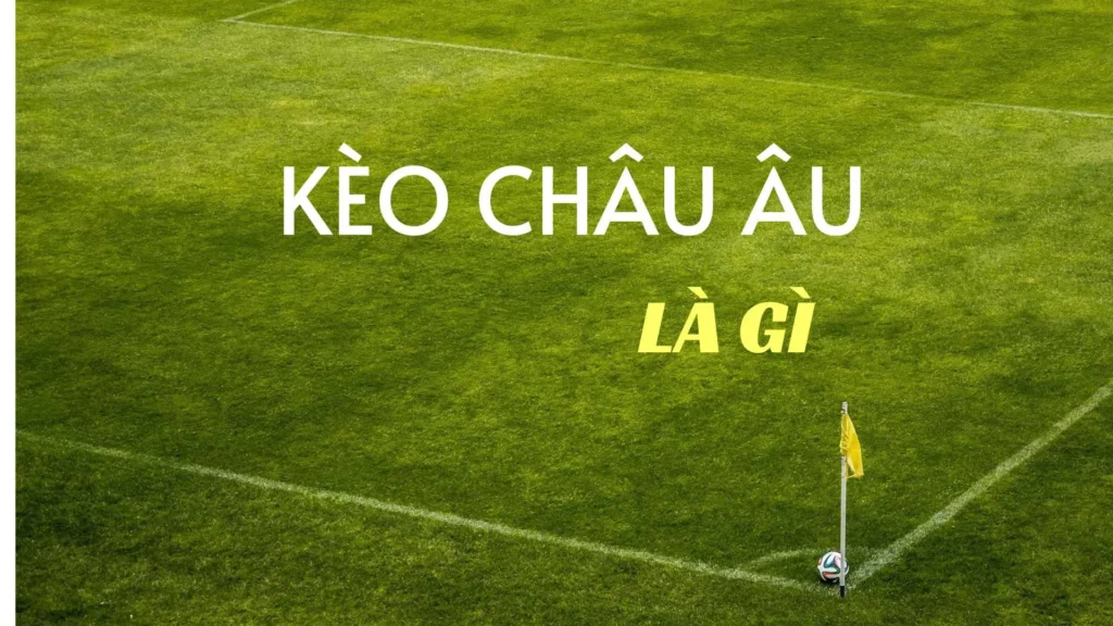 Bí Quyết Soi Kèo Châu Âu Hiệu Quả Nhất Từ Các Chuyên Gia Hàng Đầu