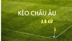 Bí Quyết Soi Kèo Châu Âu Hiệu Quả Nhất Từ Các Chuyên Gia Hàng Đầu