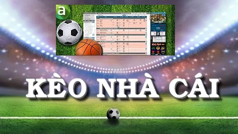 Hướng Dẫn Đọc Kèo Bóng Đá Chi Tiết Dành Cho Người Mới Bắt Đầu