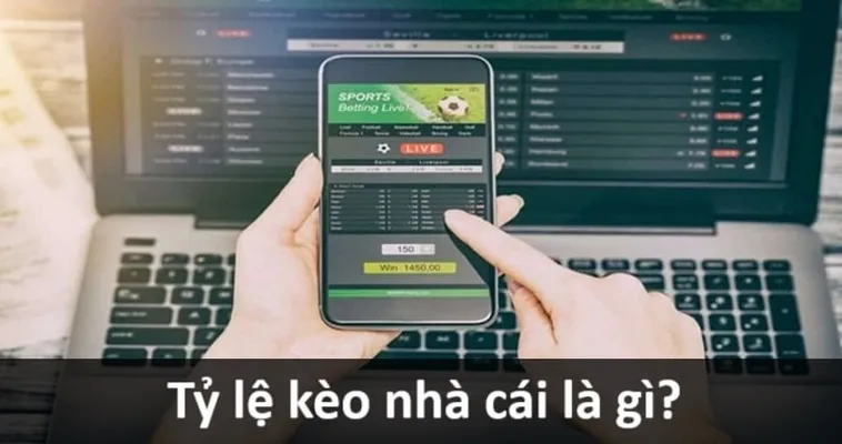 Hướng Dẫn Đọc Kèo Bóng Đá Chi Tiết Dành Cho Người Mới Bắt Đầu