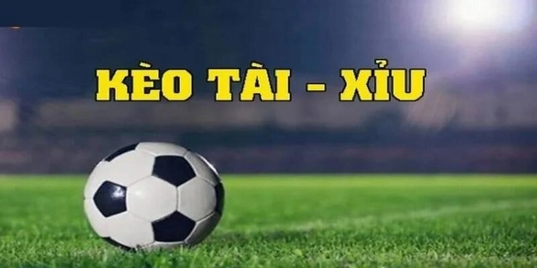 Bí Quyết Đọc Kèo Tài Xỉu Bóng Đá Đỉnh Cao Dành Cho Chuyên Gia
