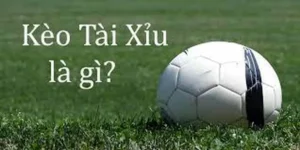 Bí Quyết Đọc Kèo Tài Xỉu Bóng Đá Đỉnh Cao Dành Cho Chuyên Gia