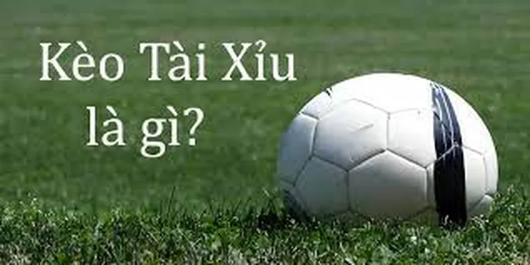 Bí Quyết Đọc Kèo Tài Xỉu Bóng Đá Đỉnh Cao Dành Cho Chuyên Gia