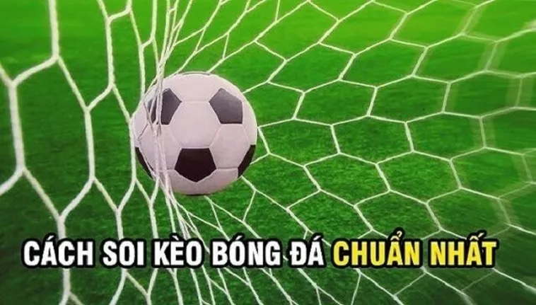 Bí Quyết Chinh Phục Kèo Rung Trong Bóng Đá Từ Chuyên Gia
